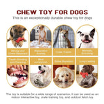 Durable Lobster - Shaped Chew Toy for Medium and Large Dogs - GreenFur