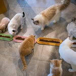 Durable Long Cat Feeding Bowl Safe PP Material Feeder - GreenFur