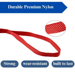 Durable Nylon Dog Leash with Bolt Snap for All Dog Sizes - GreenFur