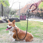 Durable Outdoor Cartoon Dog Leash - GreenFur