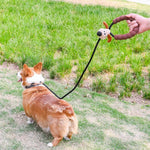 Durable Outdoor Cartoon Dog Leash - GreenFur