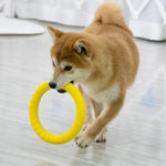 Durable Outdoor Dog Flying Disc Floating Dog Ring Toys - GreenFur
