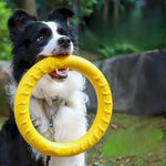 Durable Outdoor Dog Flying Disc Floating Dog Ring Toys - GreenFur
