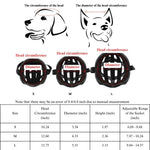 Durable Pet Safety Helmet for Outdoor Sports - GreenFur