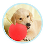 Durable Play Chew Rubber Bouncy Solid Dog Ball Toy - GreenFur