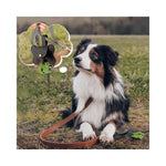 Durable PU Leather Dog Waste Bag Dispenser - GreenFur