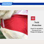 Durable Reflective Double Layer Pet Raincoat for Large Dogs - GreenFur