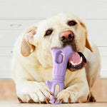 Durable Rotating Nylon Treat Holding Chew Dog Toy - GreenFur