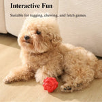Durable Rubber Ball Chew Toy for Dogs - GreenFur