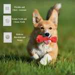 Durable Rubber Knotted Chew Toy for Dogs - GreenFur
