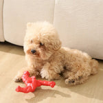Durable Rubber Triangle Chew Toy for Dogs - GreenFur