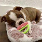 Durable Silicone Cactus - Shaped Dog Chew Toy for Teeth Cleaning - GreenFur