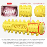 Durable Squeaky Chew Tooth Cleaning TPR Chewer Dog Toys - GreenFur
