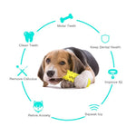 Durable Squeaky Chew Tooth Cleaning TPR Chewer Dog Toys - GreenFur