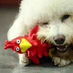 Durable Squeaky Chewable Turkey Latex Dog Toy - GreenFur