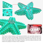 Durable Squeaky Starfish Dog Toys Teething Cleaning Pet Toy - GreenFur