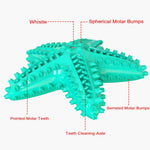 Durable Squeaky Starfish Dog Toys Teething Cleaning Pet Toy - GreenFur
