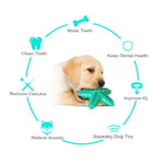 Durable Squeaky Starfish Dog Toys Teething Cleaning Pet Toy - GreenFur