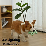 Durable Squeaky Teeth - Cleaning Light - Up Cactus Design TPR Dog Toy - GreenFur