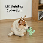 Durable Squeaky Teeth - Cleaning Light - Up Cactus Design TPR Dog Toy - GreenFur