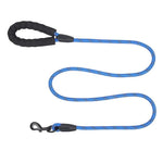 Durable Strong and Comfortable Nylon Dog Leash - GreenFur