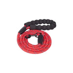 Durable Strong and Comfortable Nylon Dog Leash - GreenFur