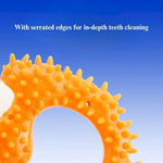 Durable Teeth Cleaning Chew Toy Training and Oral Care for Dog - GreenFur