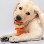 Durable Teeth Cleaning Dog Hidden Food Treat Pet Chew Toys - GreenFur