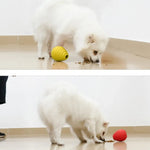 Durable Treat Dispensing Ball for Dogs Interactive Chew Toy - GreenFur