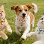 Easter Egg Rabbit Carrot Cute Easter Cat Collar with Bow Tie - GreenFur