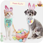 Easter Themed Cute Soft Comfortable Dog Bandana Pet Bib for Holiday - GreenFur