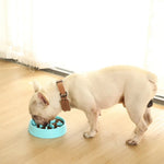 Easy Cleaning Dog Food Bowl Pet Slow Feeder Bowl - GreenFur
