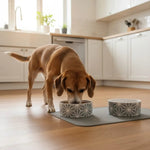 Easy to Clean Dog Cat White Food Water Bowl Pet Ceramic Bowl - GreenFur