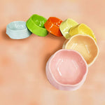 Easy to Clean Melamine Pet Bowl with Non - slip Base - GreenFur