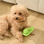Eco - Friendly Cotton Rope Shoes Bite Resistant Dog Toys - GreenFur