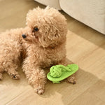 Eco - Friendly Cotton Rope Shoes Bite Resistant Dog Toys - GreenFur