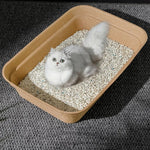 Eco - Friendly Degradable Cat Toilet Disposable Cat Litter Box - GreenFur