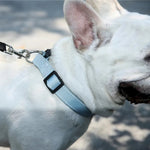 Eco - Friendly GRS Material Adjustable Grey Dog Collar - GreenFur