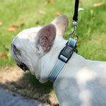 Eco - Friendly GRS Material Adjustable Grey Dog Collar - GreenFur