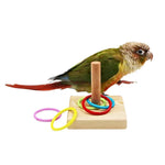 Educational Training Ring Toy for Birds - GreenFur