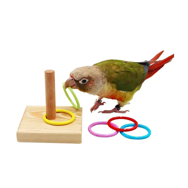 Educational Training Ring Toy for Birds - GreenFur