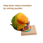 Educational Training Ring Toy for Birds - GreenFur