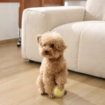 Elastic Dog Ball Teeth Cleaning Chew Toy - GreenFur