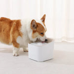 Electronic Automatic Cat Dog Water Dispenser Smart Pet Drinking Fountain - GreenFur