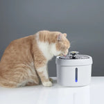 Electronic Cat Dog Water Dispenser Drinking Automatic Pet Fountain - GreenFur