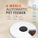 Electronic Timed Cat Dog Food Bowl Smart 6 Meal Automatic Pet Feeder - GreenFur