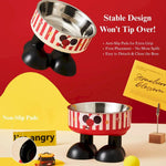 Elevated Anti Spill Pet Bowl with Detachable Stainless Steel Insert - GreenFur