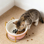 Elevated Ceramic Cat Bowls Anti - Acne Food and Water Bowls with Black Stand - GreenFur