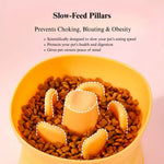 Elevated Dog Slow Feeder Bowl Anti Spill for Small Breeds - GreenFur