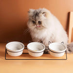Elevated Triple Ceramic with Iron Stand Neck Protect Cat Bowls - GreenFur